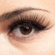 Black Felt Tip Magnetic Liner